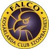 Amatori法尔科纳拉20岁以下