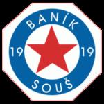 巴尼克苏